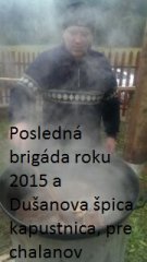 Posledná brigáda 28.12.2015